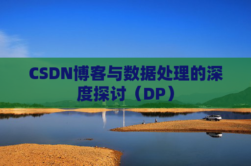 CSDN博客与数据处理的深度探讨（DP）